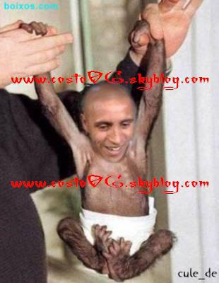 roberto carlose devient singe